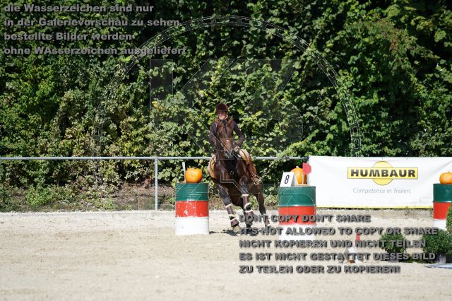 s_K3F03746.JPG